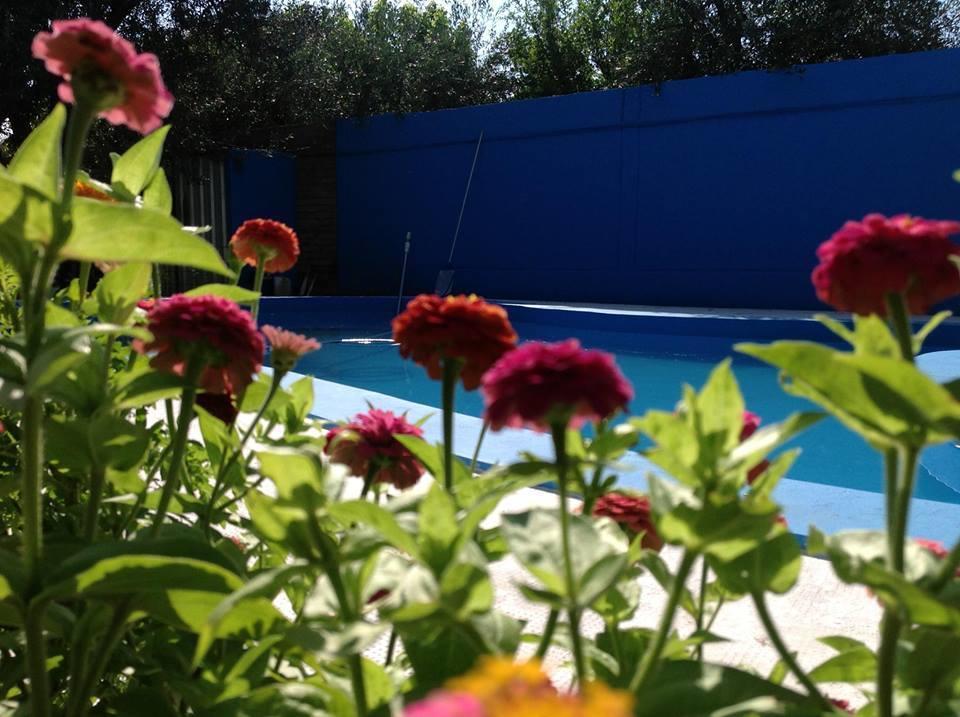 Cabanas Calderon I San Rafael  Exterior photo